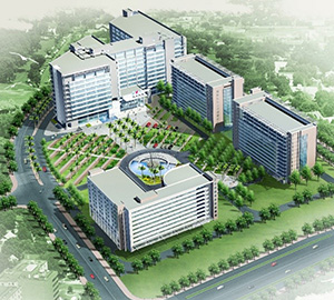 球王会体育平台网页（深圳）清华信息港